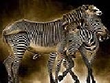 Play Striped zebras puzzle