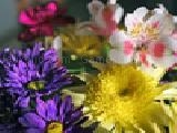 Play Jigsaw: mood flowers