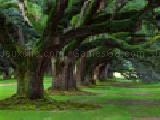 Play Lost alphanumbers 4