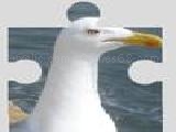 Play Seagulls puzzle