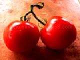 Play Jigsaw: tomatoes