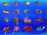 Play Marine life picture matching