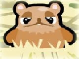 Play Hamster nest
