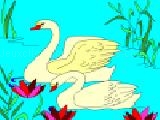 Play Kid's coloring: two swans