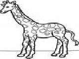 Play Giraffes -1