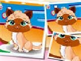 Play Pet hairstyle design