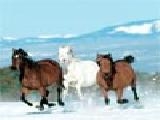Play Running horses sliding