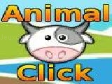 Play Animal click