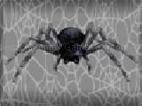 Play Tarantuloid typing terror