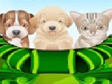 Play Puppy and kitten caring game