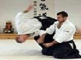 Play Aikido fight