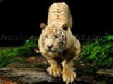 Play Tigers puzzles