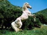Play White horse sliding