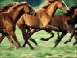 Play Horses jigsaw