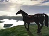 Play Horse racing 3d