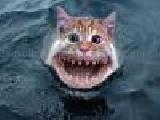 Play Cat fish jigsaw