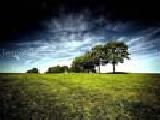 Play Stunning nature puzzles