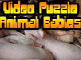 Play Video puzzle: animal babies