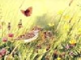 Play Art painting bird puzzles 2