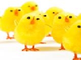 Play Easter jigsaw puzzle