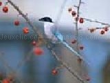 Play Cute little birds puzzles