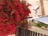 Play Rolls-royce phantom 2