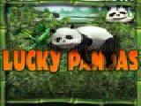 Play Lucky pandas