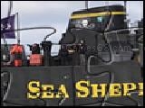 Play Picture changing jigsaw - seashepherd.org