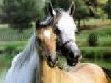 Play Puzzle horses