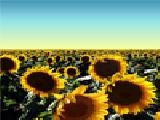 Play Sunflowers jigsaw