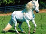 Play White horse jigsaw puzzle