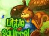 Play Irutia: little squirrel