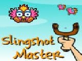 Play Slingshot master