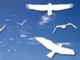Play Birds puzzle