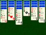 Play Tarantula patience
