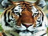 Spielen Tiger jigsaw puzzle