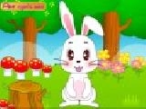Play Cute bunny