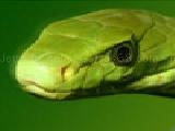Play Green mamba