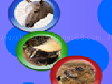 Play Animal rotospheres