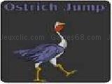 Play Ostrich jump