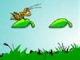 Play Leaf hopper