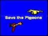Play Save the pigeons