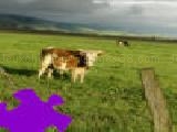 Play Pasture jigsaw