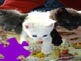 Play Cute kittens jigsaw