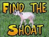 Jugar a Find the shoat