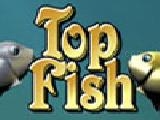 Play Top fish