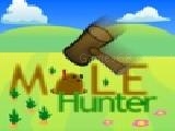 Play Mole hunter