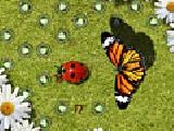 Play Bug off
