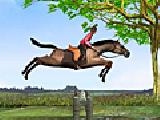 Play Horse jumping