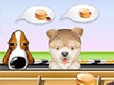 Play Serve the pets